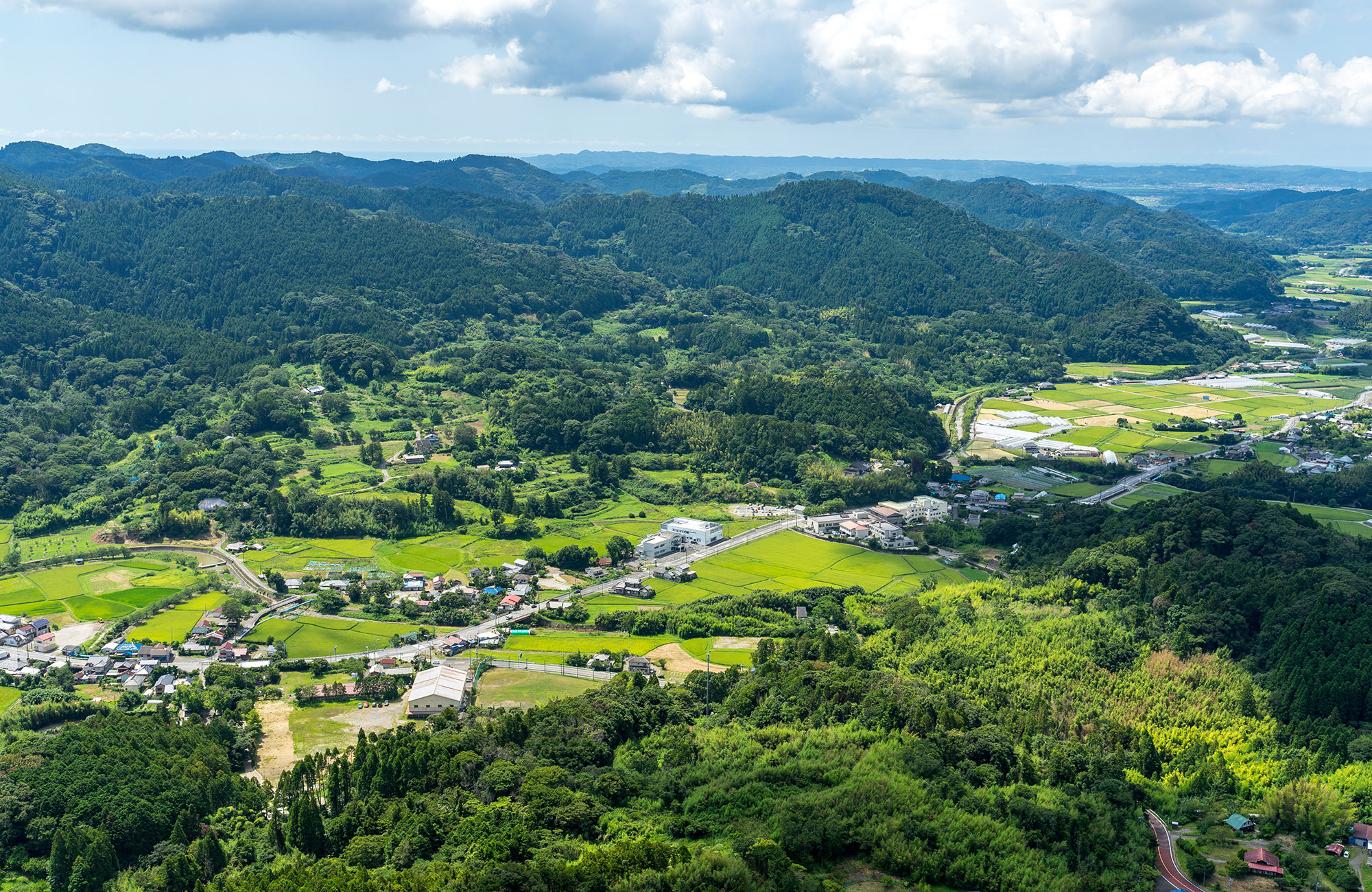 新着情報